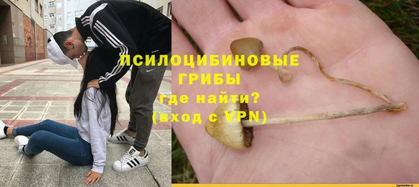 трава Протвино
