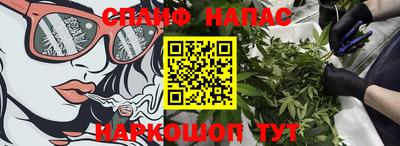 сатива Беслан