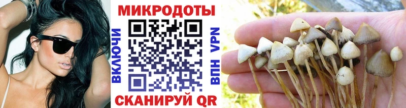 Псилоцибиновые грибы Psilocybine cubensis  Усолье-Сибирское 
