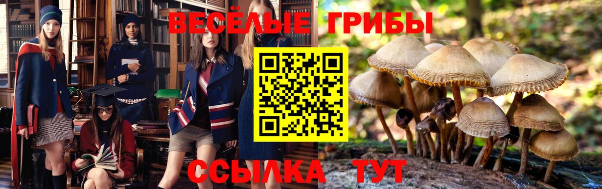 Псилоцибиновые грибы Cubensis  Усолье-Сибирское 