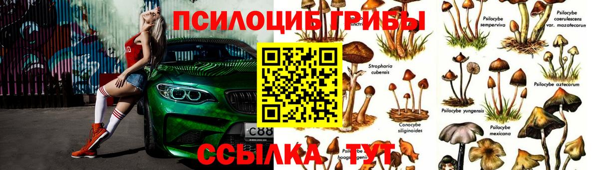 Меф кристаллы  Cocaine  APVP СК кристаллы  Меф МЯУ МЯУ  Вход с VPN  ГАШИШ  Усолье-Сибирское  Кокаин  Канабис  Лсд 25 