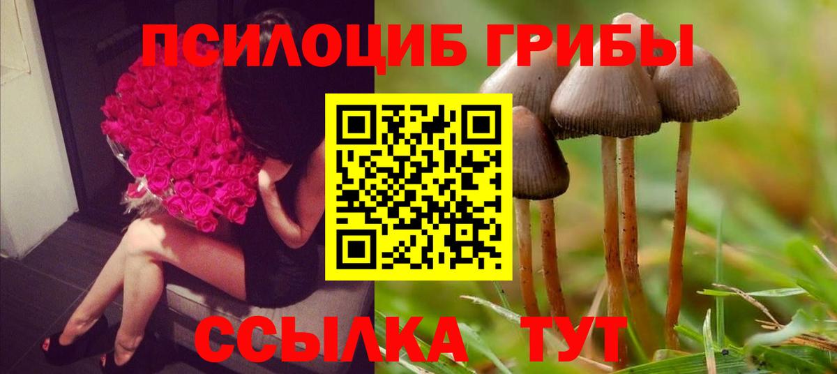 Галлюциногенные грибы Psilocybine cubensis Усолье-Сибирское